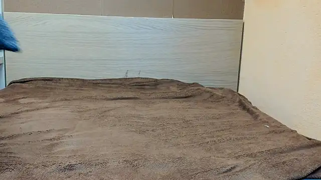 PinkyTwerkyX online show from September 9, 2025, 11:52 am