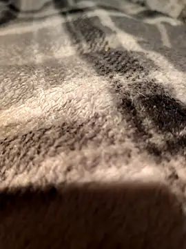 Shinlelove31 online show from February 11, 2026, 3:39 am