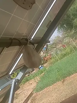 mastmalai online show from March 17, 2026, 4:37 am