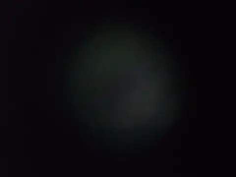 dustbunny64 online show from July 1, 2026, 1:39 am