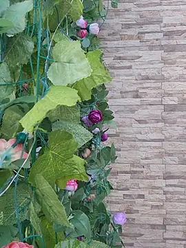 Roma xxx online show from February 14, 2026, 10:21 pm