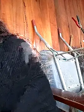 -Samm- online show from February 17, 2026, 2:09 am