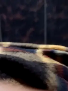 sergiorofiqs online show from February 13, 2026, 8:31 pm