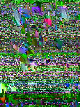 Sukem-mut online show from April 6, 2026, 7:09 am