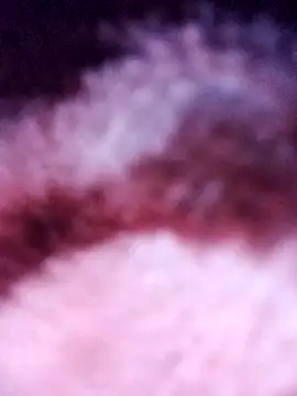 rajan 87121 online show from February 14, 2026, 1:22 pm