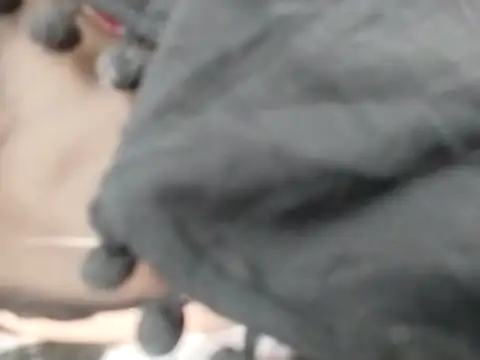 Snapshot of VeraVS chatting on February 20, 2026, 9:22 am VeraVS online show from February 20, 2026, 9:22 am