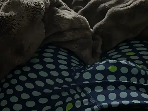 Snapshot of kakarot241515 chatting on March 6, 2026, 2:17 am kakarot241515 online show from March 6, 2026, 2:17 am