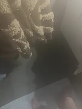 Crevette311 online show from February 3, 2026, 4:01 pm