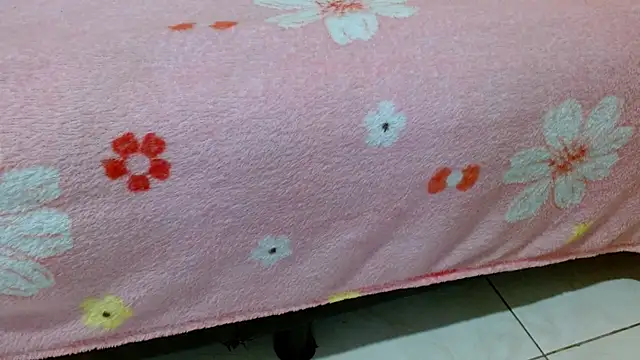  online show from March 28, 2026, 6:36 am