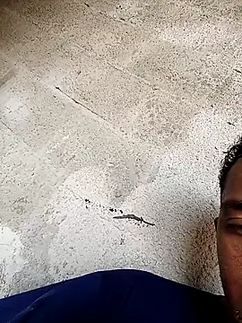 negopreto  online show from February 24, 2026, 7:37 pm