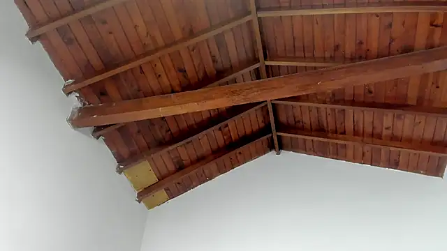 Snapshot of TonyPetrovjs chatting on March 15, 2026, 7:37 am TonyPetrovjs online show from March 15, 2026, 7:37 am