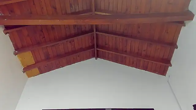 Snapshot of TonyPetrovjs chatting on March 26, 2026, 4:44 am TonyPetrovjs online show from March 26, 2026, 4:44 am