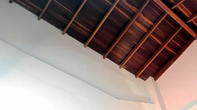 Snapshot of TonyPetrovjs chatting on April 1, 2026, 4:58 am TonyPetrovjs online show from April 1, 2026, 4:58 am