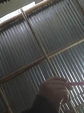 Snapshot of mar_coral2 chatting on March 27, 2026, 11:44 am mar coral2 online show from March 27, 2026, 11:44 am