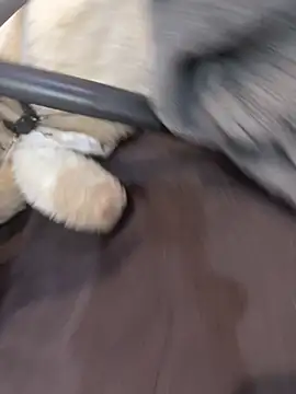 NniuAh online show from March 10, 2026, 9:13 am