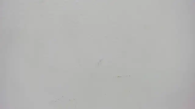 ursafrost online show from May 6, 2026, 3:43 am