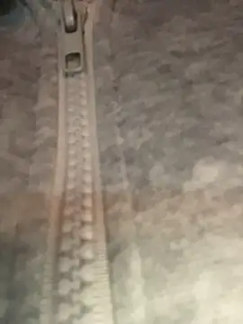 aurora ec online show from April 13, 2026, 3:49 pm