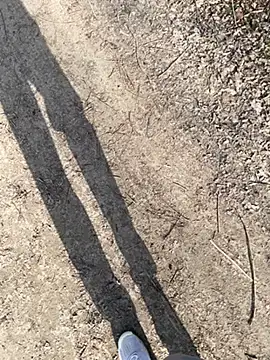 aras  25 online show from March 9, 2026, 2:31 pm