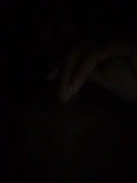 gostinhopauzudo online show from March 22, 2026, 3:21 am