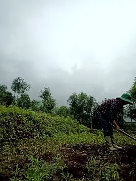 lyly sexx online show from April 2, 2026, 2:30 am