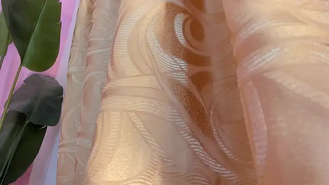 Snapshot of evelyn__rose1 chatting on March 8, 2026, 2:04 am evelyn rose1 online show from March 8, 2026, 2:04 am