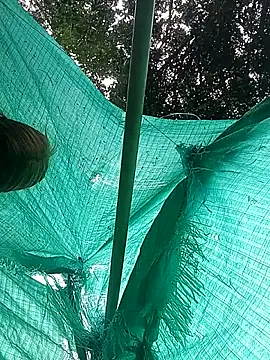 Snapshot of single_kitten chatting on March 23, 2026, 7:47 pm single kitten online show from March 23, 2026, 7:47 pm