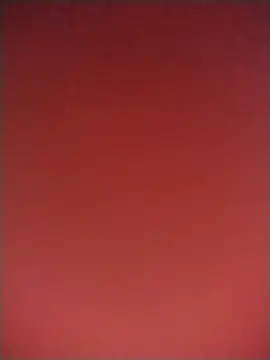 lauranasty online show from April 28, 2026, 4:22 pm