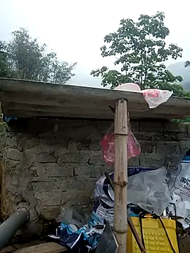 dualeo11 online show from March 27, 2026, 1:47 am