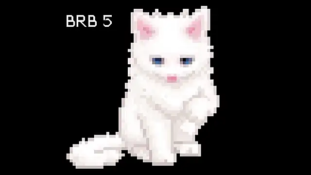 BlinkingDross online show from June 1, 2026, 11:43 am
