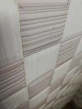 sanju470 online show from March 21, 2026, 4:03 am