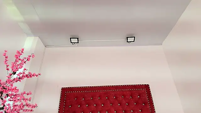 Daphne glas online show from April 1, 2026, 1:41 pm