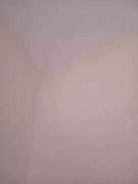 Snapshot of Palgr0sso chatting on May 19, 2026, 5:09 pm Palgr0sso online show from May 19, 2026, 5:09 pm
