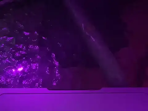 noahnox online show from March 17, 2026, 4:04 am