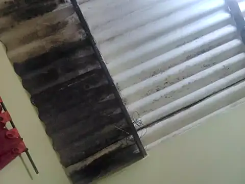 Briyitho online show from March 21, 2026, 2:35 am