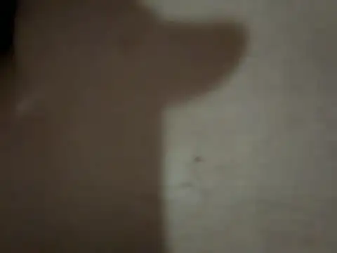 Kaan33 33 online show from March 22, 2026, 8:32 pm