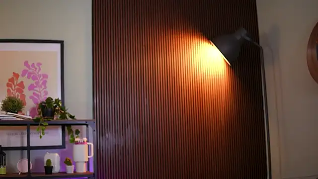 Lena Laurent online show from March 24, 2026, 10:15 am