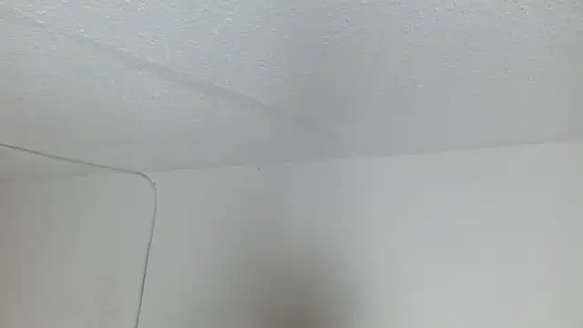 chanel bitch1609 online show from March 18, 2026, 8:43 pm