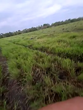 biker257 online show from March 12, 2026, 11:14 am