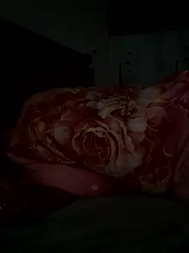 Snapshot of Dudu-me chatting on March 20, 2026, 12:11 am Dudu-me online show from March 20, 2026, 12:11 am