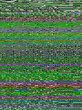 Snapshot of alextn22 chatting on July 6, 2026, 2:46 pm alextn22 online show from July 6, 2026, 2:46 pm