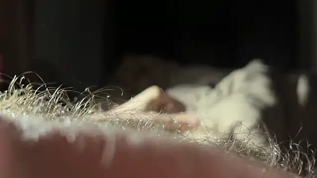 LUCIFERMORNINGSTAR512 online show from March 20, 2026, 5:36 pm