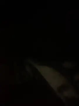 sessynancy online show from March 24, 2026, 11:49 pm