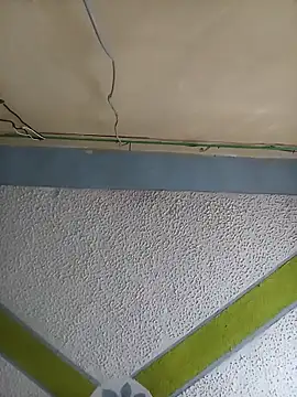 tshidaisa1 online show from April 5, 2026, 2:13 pm