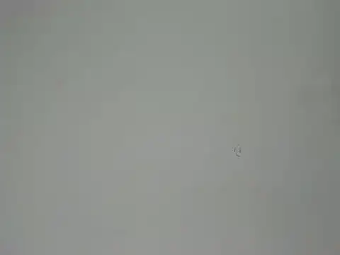 Snapshot of Aliciaa_Diamond chatting on March 25, 2026, 8:30 pm Aliciaa Diamond online show from March 25, 2026, 8:30 pm