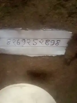 Tiya babay online show from July 20, 2026, 12:18 pm