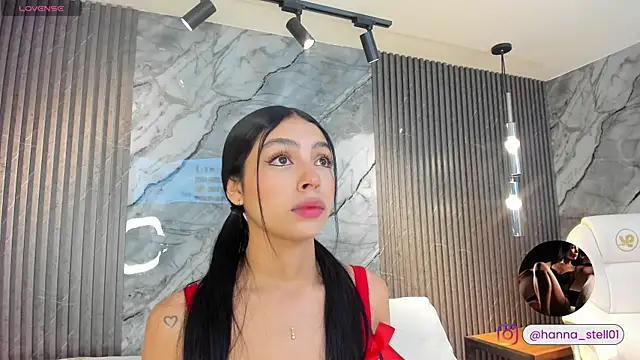 Snapshot of hanna_steel chatting on August 4, 2026, 11:48 am hanna steel online show from August 4, 2026, 11:48 am