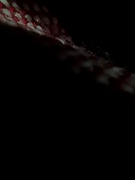 Lucho128030 online show from March 24, 2026, 3:23 pm