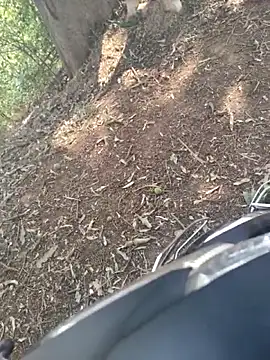 junedkhan99 online show from April 13, 2026, 3:32 am