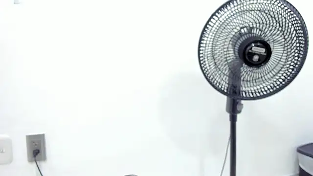 noah chips  online show from April 7, 2026, 5:31 am