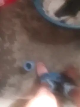 bhereee online show from March 30, 2026, 6:26 am